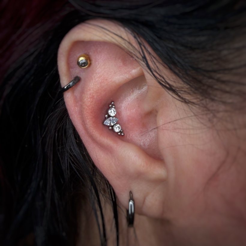 Curated cluster of gem-set ear piercings done at Chinatown Piercing